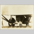 Photo of the undercarriage of a plane (ddr-njpa-13-1340)