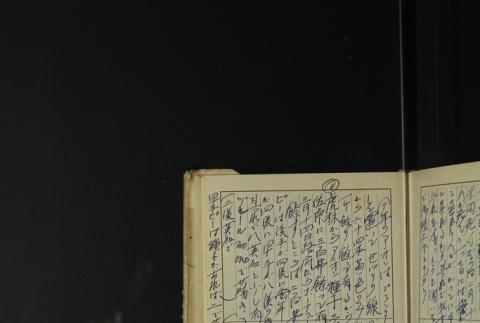 Page 393 (ddr-densho-255-17-master-5ff0747692)