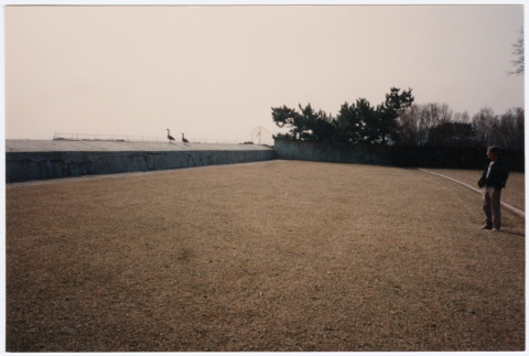 Yard before landscaping (ddr-densho-377-1871)