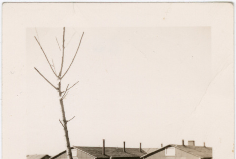 Group of men working outside barracks (ddr-densho-329-1388)