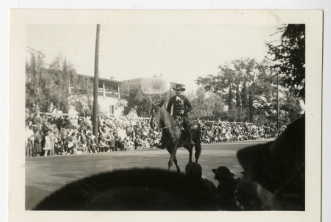 Horse and rider in the Rose Parade (ddr-csujad-42-214)