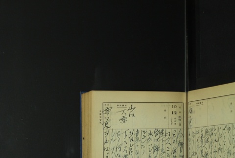 Page 313 (ddr-densho-255-5-master-dbbe2209b7)