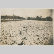 Snow-covered field (ddr-densho-357-113)