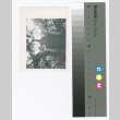 Japanese American men on steps (ddr-densho-255-113)