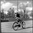 Man riding bicycle while balancing tray (ddr-densho-426-294)