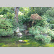 Japanese Garden waterfall, pond (ddr-densho-354-2866)