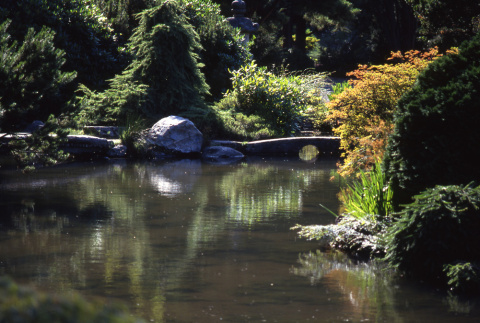 Japanese Garden, looking glass bridge (ddr-densho-354-633)