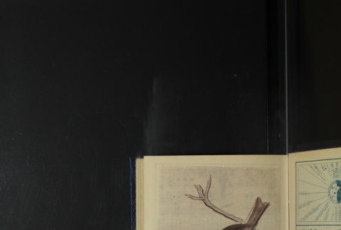 Page 13 (ddr-densho-255-18-master-271e2c6538)