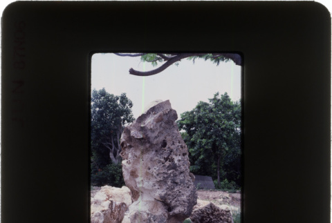 Landscaping rocks (ddr-densho-377-639)