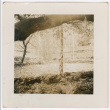 Trees (ddr-densho-377-2260)