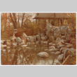 Rock feature bordering pond (ddr-densho-377-2318)