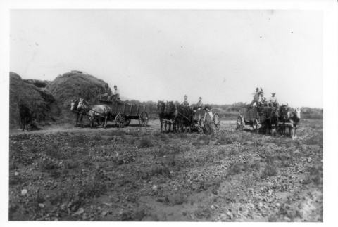 Family plowing a field (ddr-densho-109-75)