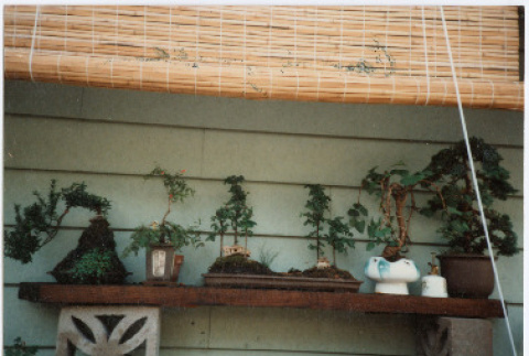 Photo front and back (ddr-densho-534-24-mezzanine-4dd9e230f7)