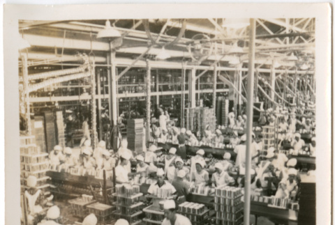 Overview of factory floor (ddr-densho-426-2068)