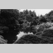 Japanese Garden Pond II (ddr-densho-354-694)