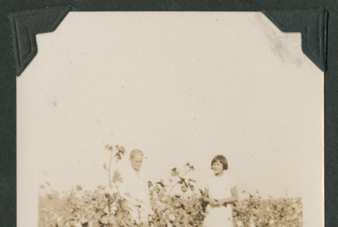 two people in garden (ddr-densho-378-481)
