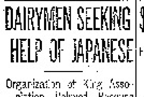 Dairymen Seeking Help of Japanese. Organization of King Association Delayed Because Many Refuse to Join. (October 5, 1919) (ddr-densho-56-337)