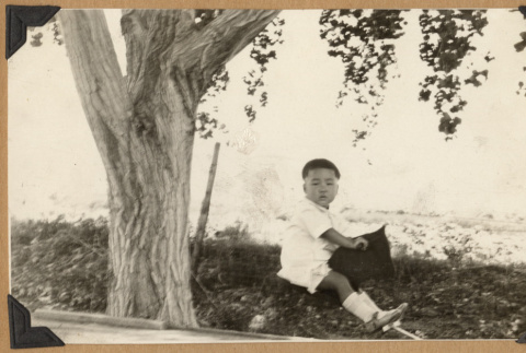 Toddler on a pony toy (ddr-densho-542-171)