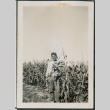 Photo of Tsutomu Fukuyama holding corn harvest (ddr-densho-483-881)