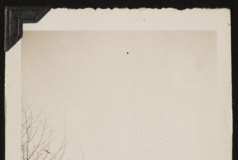 Yosh Kikawa out in the sticks (ddr-densho-542-376)