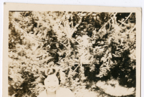 Woman sitting in the grass (ddr-densho-433-809)