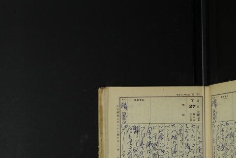 Page 229 (ddr-densho-255-17-master-73fe382343)