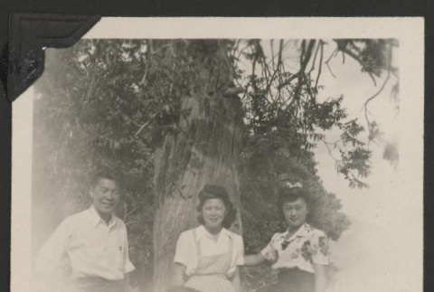 Group photograph in front of a tree (ddr-manz-10-125)
