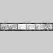 Negative film strip for Farewell to Manzanar scene stills (ddr-densho-317-105)