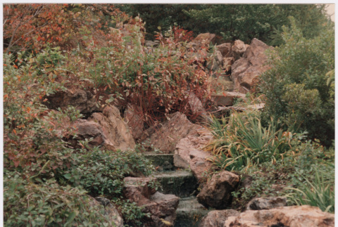 Steps (ddr-densho-377-2072)
