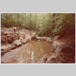 Landscaping under construction (ddr-densho-377-2562)