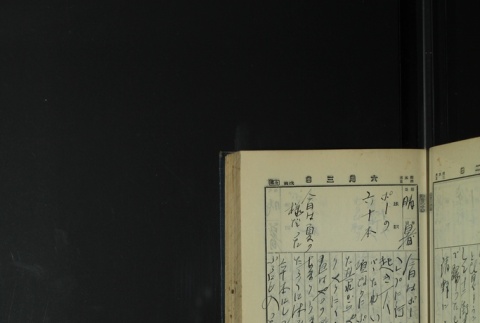 Page 171 (ddr-densho-255-4-master-1145f74a6e)