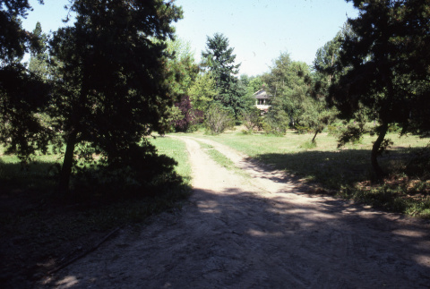 Straight road looking toward old house (ddr-densho-354-1211)