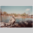 Island (ddr-densho-377-2137)