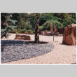 Rock landscaping with tree in center (ddr-densho-377-1867)