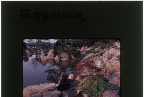Pond and rock garden at the Resnick project (ddr-densho-377-1154)