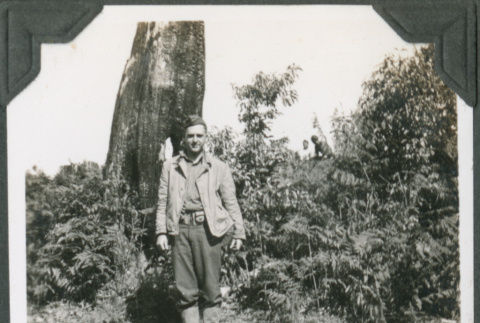 Man in uniform standing by tree (ddr-ajah-2-221)