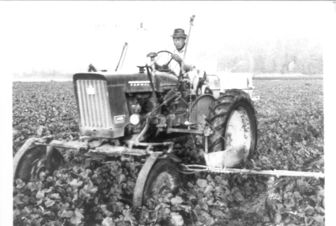 Man on a tractor (ddr-densho-109-15)
