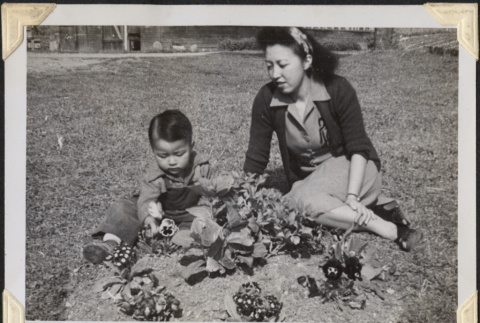 Woman and boy sitting in yard (ddr-densho-466-915)