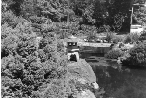 Stone lantern on a rock by a pond, looking from Heart Bridge (ddr-densho-354-1498)