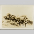Soldiers with horses and wagons (ddr-njpa-13-1676)