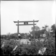 Torii gate at D. Hill Nursery (ddr-densho-377-1415)