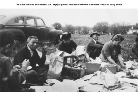 Group of men and women at a picnic (ddr-ajah-6-192)