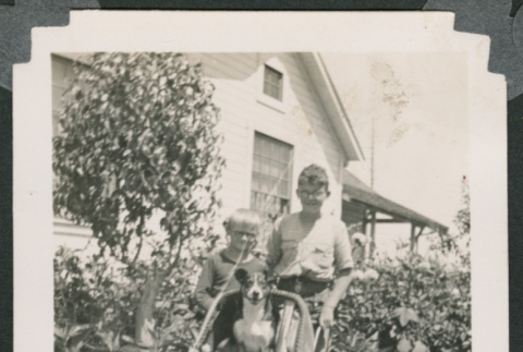 Photo of two boys with a dog in a pram (ddr-densho-483-344)