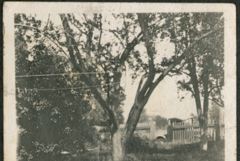 Two children sitting in garden (ddr-densho-293-48)