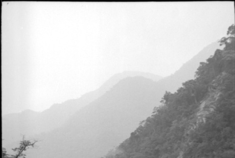 View of hillside, ravine and road (ddr-densho-426-2416)