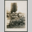 floral wreaths (ddr-densho-378-298)