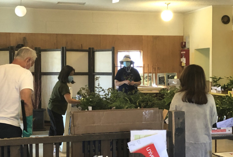 Bruce, Joy, Lori, and Debbie at KGF Office getting plants ready for Spring Plant Sale 2020 (ddr-densho-354-2780)