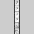 Negative film strip for Farewell to Manzanar scene stills (ddr-densho-317-152)