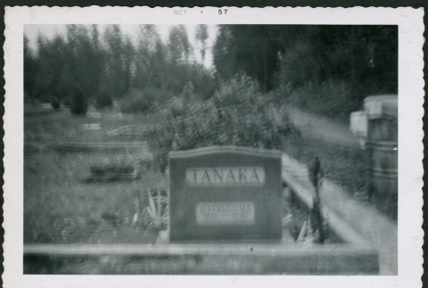 Grave marker for Hatsuguma Tanaka (ddr-densho-293-186)