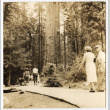 People walking on a path (ddr-densho-542-834)